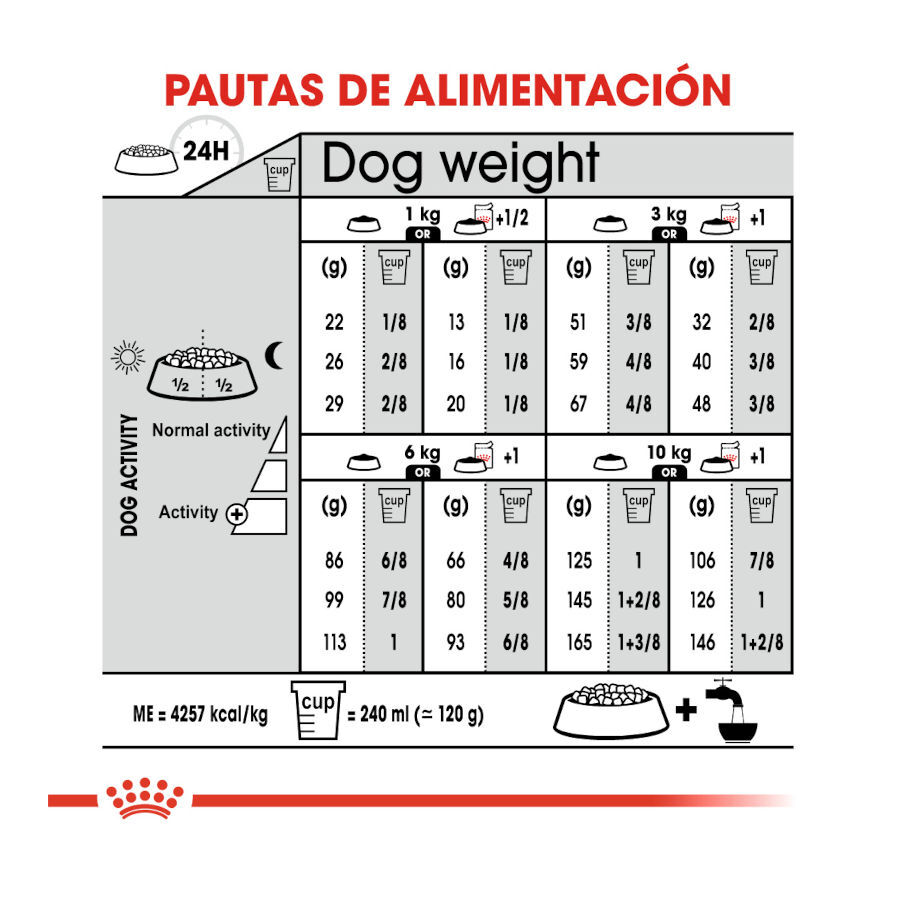 8 kg Royal Canin Digestive Care Mini pienso para perros, , large indicador imagen numero 8
